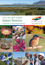 Meadowridge Common in City of Cape Town Nature Reserves booklet