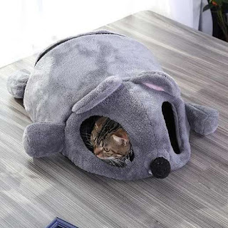 Funny Mouse Cave For Cat
