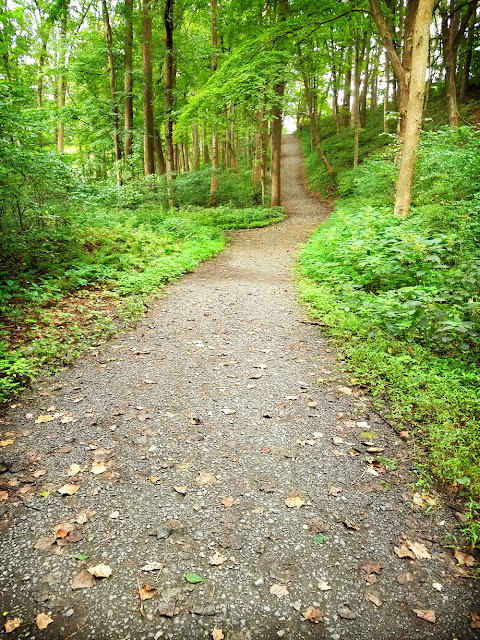 Hiking along the McDade Trail