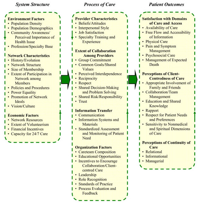 Conceptual framework of an integrated palliative care networks