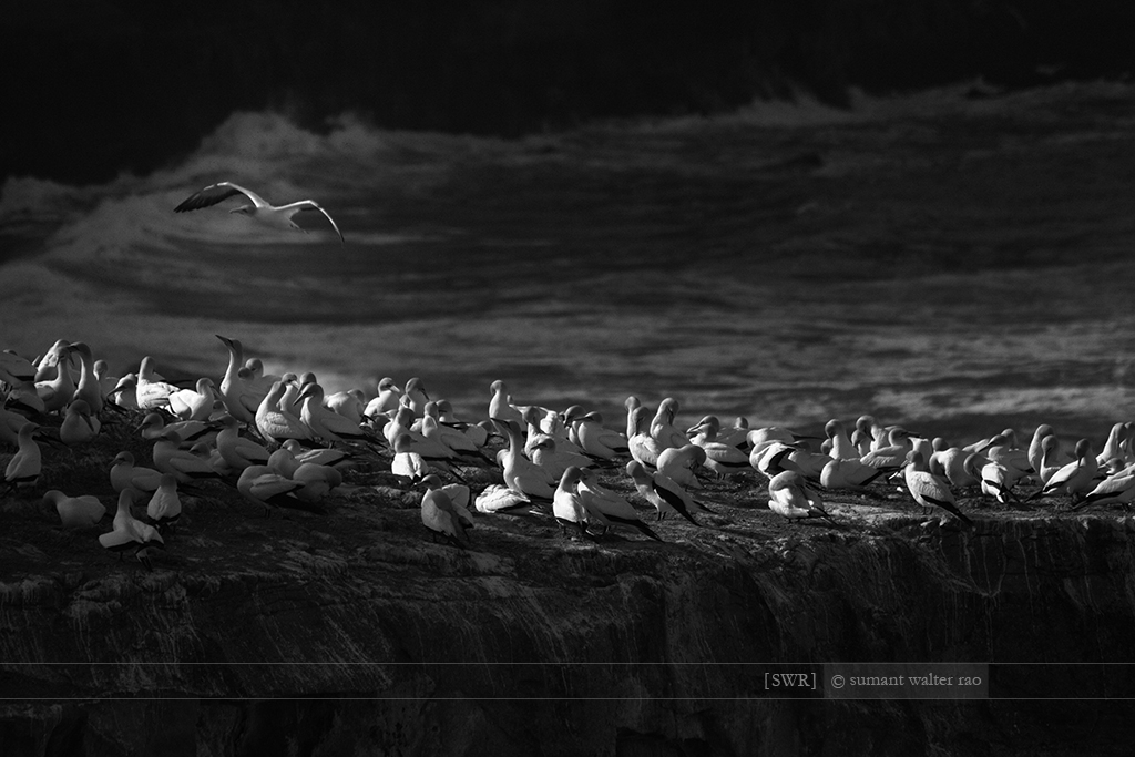 Sumant Walter Rao Photography: 2012