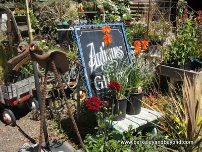 front garden at Antiquarian and Florabunda Fine Flowers in Duncans Mills, California