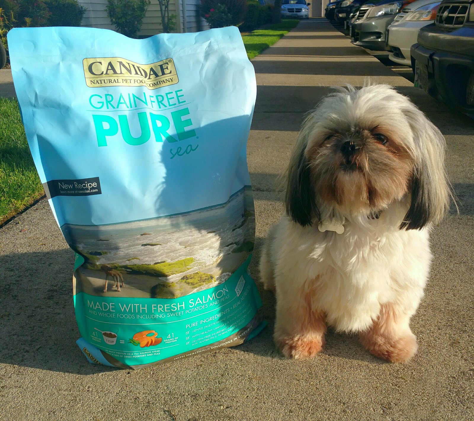 canidae pet flow canidae pet flow