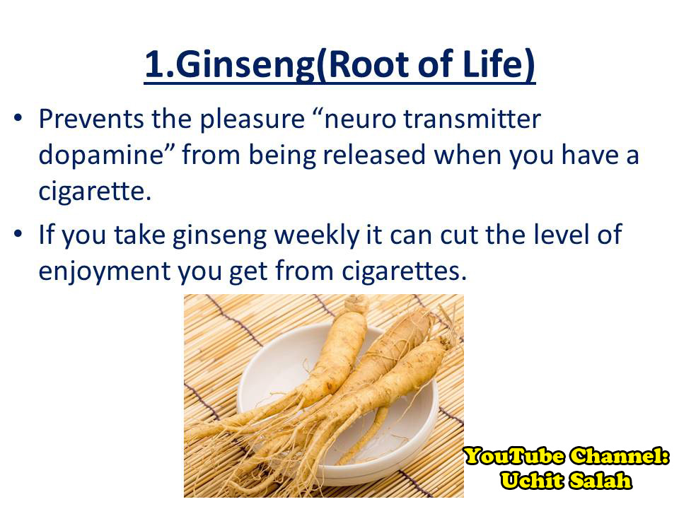 Uchit Salah 10 Easy methods to quit smoking cigars How to quit