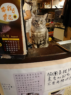 貓咪咖啡廳 米亞歐隨義小廚