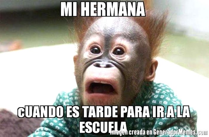 Imagenes Graciosas Fotos Chistosas Para Whatsapp Y Bajar A