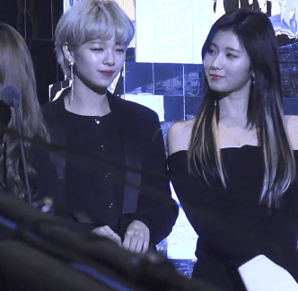 리트리버와 시바견 정연 사나 II