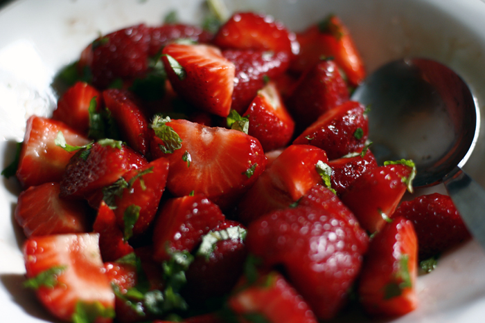 BALSAMICO-ERDBEEREN MIT ZITRONENMELISSE UND VANILLEMILCHSHAKE ...