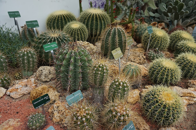 Jardin des Plantes - Serre des déserts et milieux arides