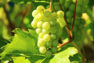 Symptoms of High Cholesterol Signs Symptoms of High Cholesterol Signs