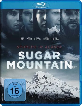 Sugar Mountain (2016) English 480p BluRay 300MB