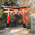 宇治／日本最古老神社「宇治上神社」　融合自然、充滿靈氣的世界遺產