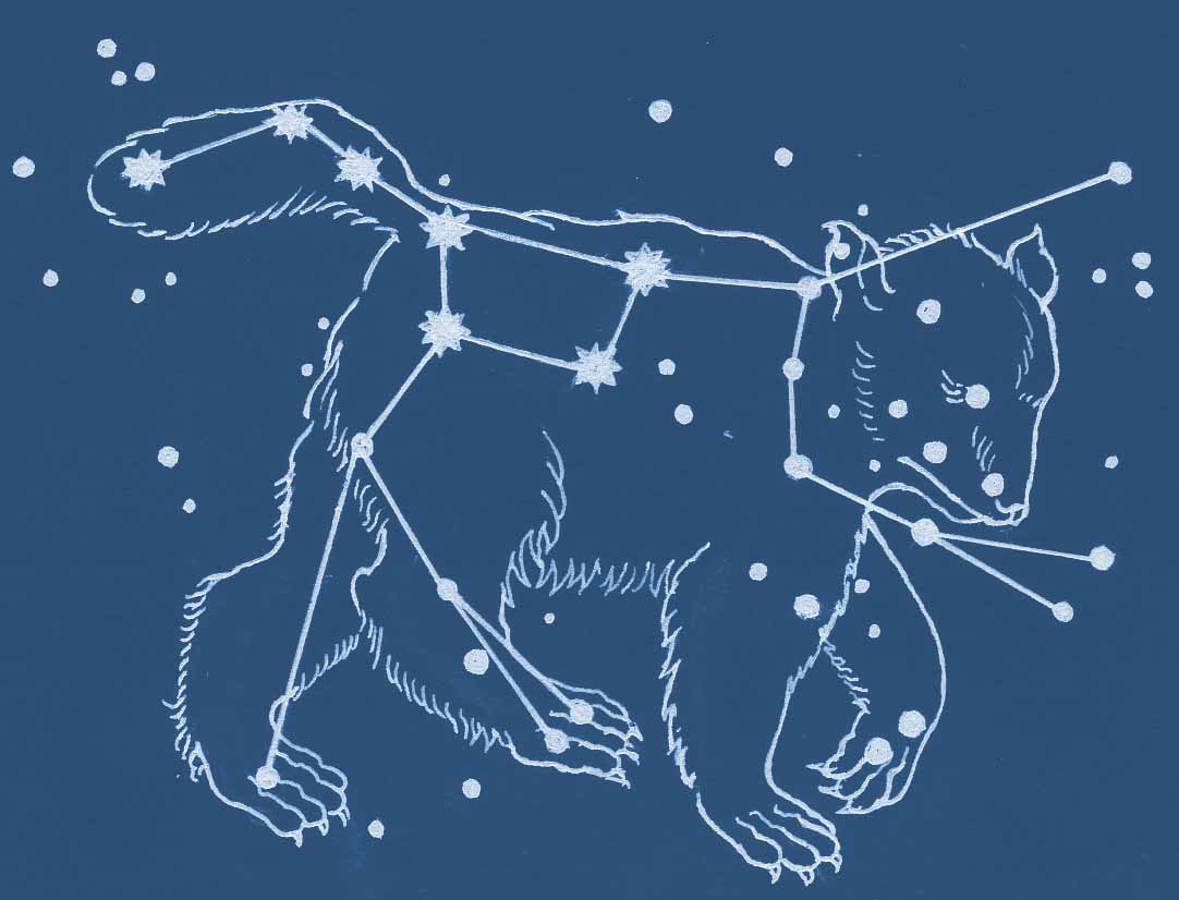 Созвездие большой медведицы картинки для 1 класса окружающий мир