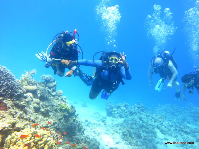 Red Sea Egypt | Diving Sharm El Sheikh