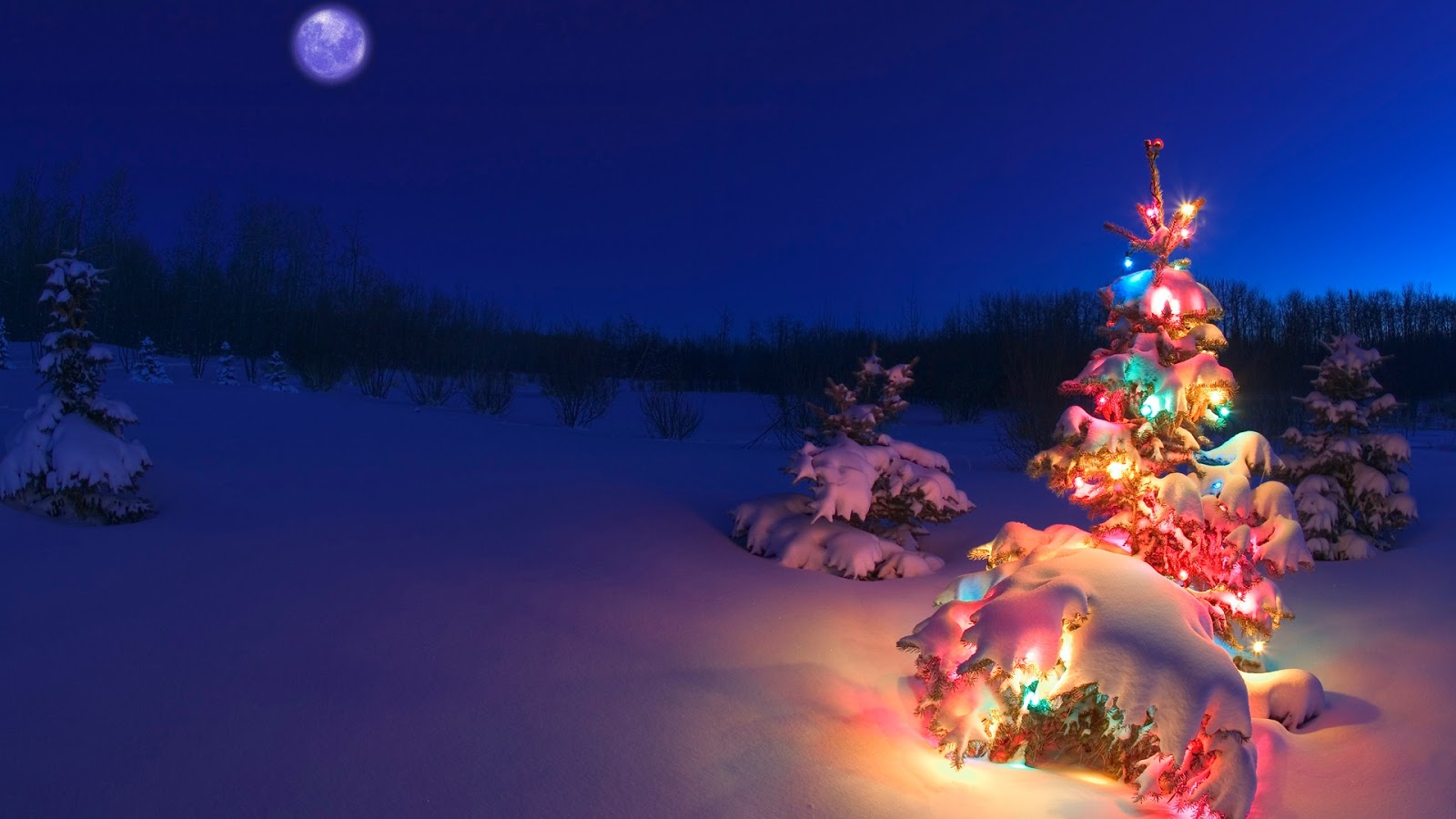 download christmas photos