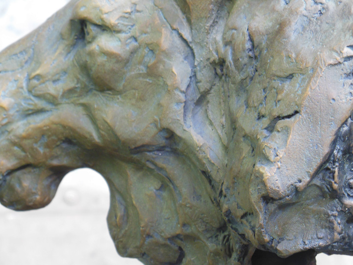 Lab Human Anatomy At Colby