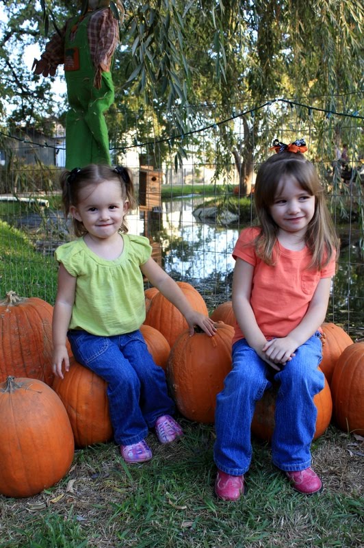 My Family is Forever!: Banducci Family Farms