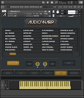 Audiowarp Blossom KONTAKT Library