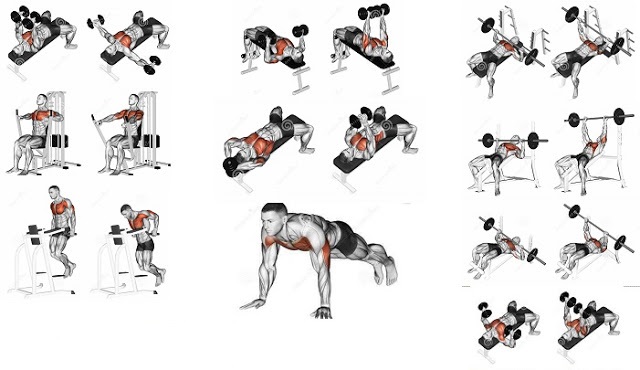 SEARCH AND BUY THIS PRODUCT 8 Best Exercises to Develop a Mighty Chest Fast