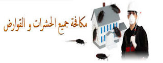 مكافحة الفئران بالدمام مكافحة الفئران بالدمام