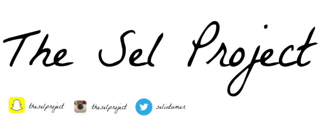 The Sel Project
