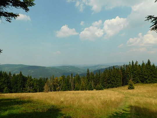 Widok na dolinę potoku Rycerskiego z hali na Bendoszce Wielkiej.
