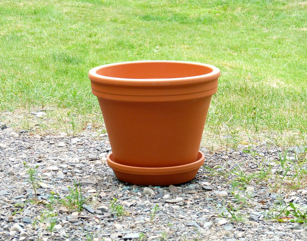 How To Paint Terracotta Planters So They Don T Look Painted Dans