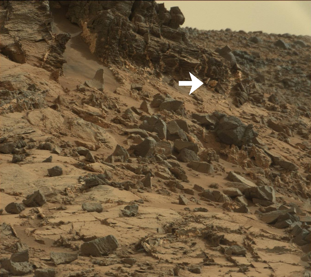 Ancient Fossil Found On Mars?