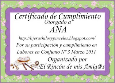 certificado del concurso  de pendibule