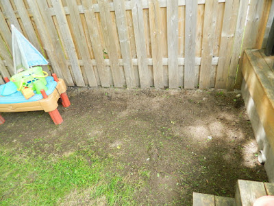 Upper Beaches backyard cleanup after Paul Jung Gardening Services Toronto Upper Beaches backyard cleanup after Paul Jung Gardening Services Toronto