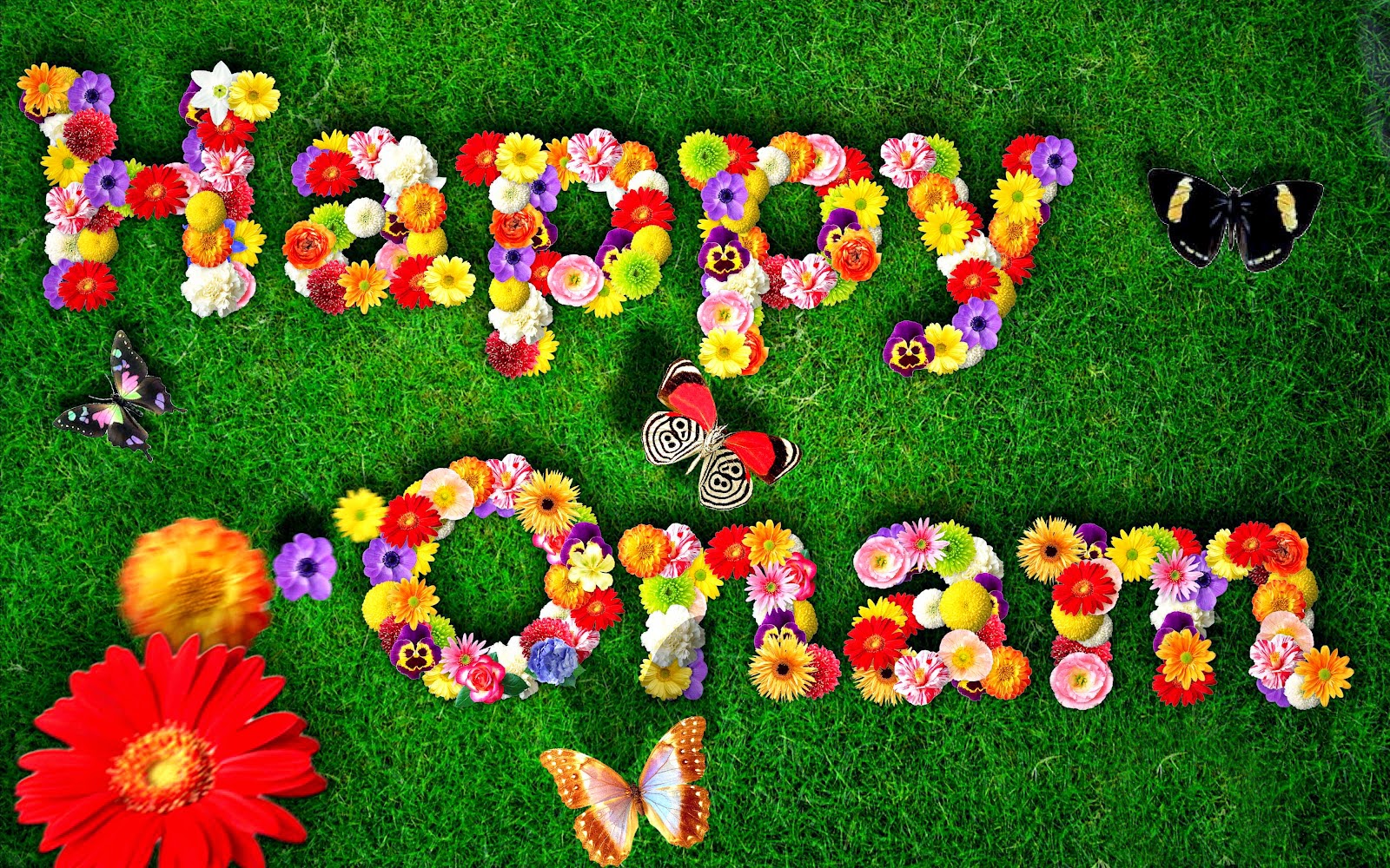 wall paper with flower design concept Onam 2015 flower design wallpaper creative image