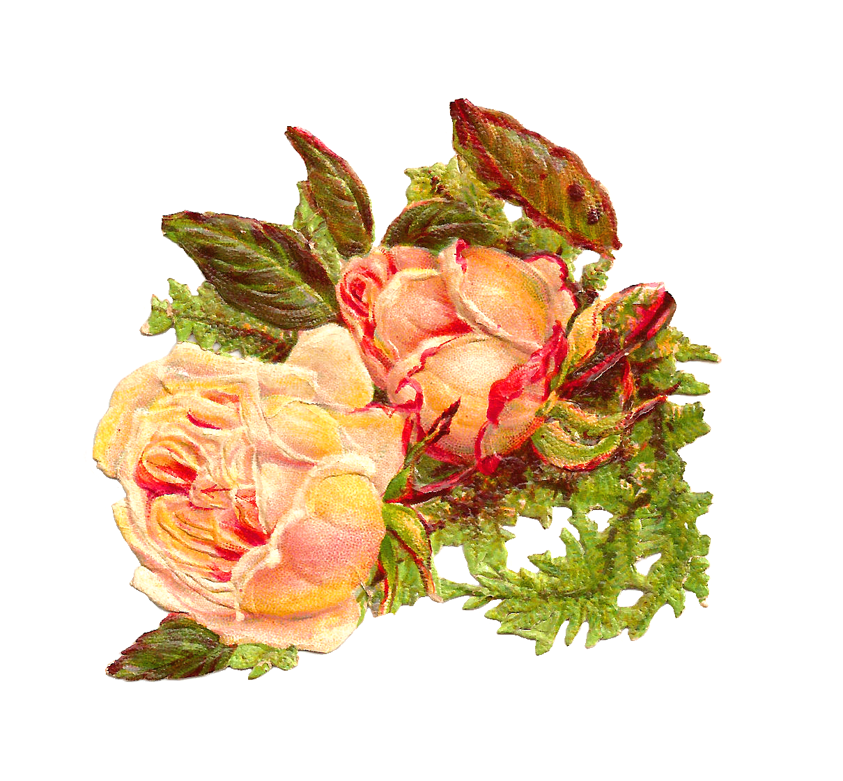 clipart vintage roses - photo #42