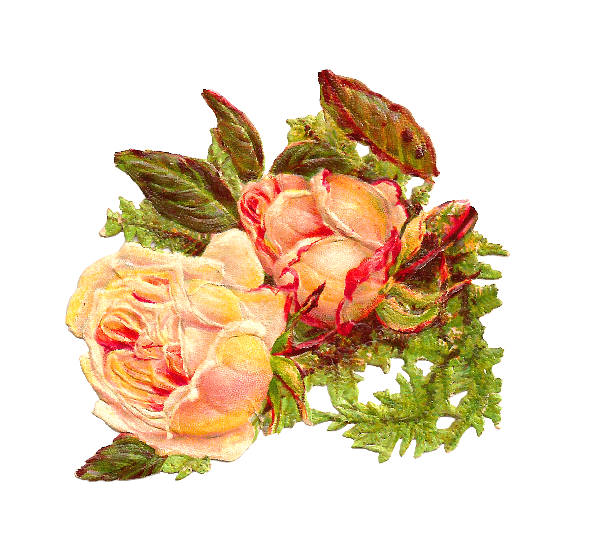 Antique Images Rose Clip Art 2 Yellow Rose Digital Scrap