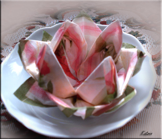 Zo mooi zo leuk: Servetten vouwen