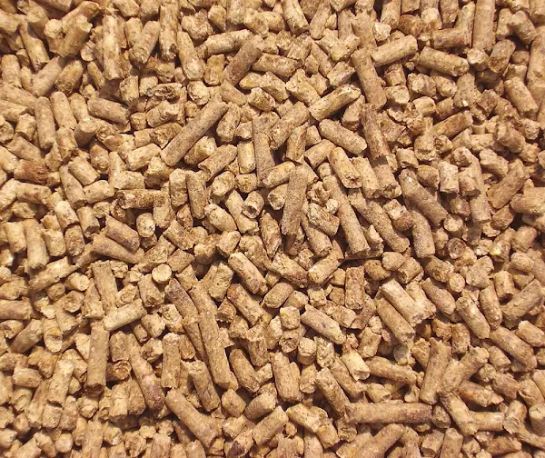poultry nutrition, poultry nutrition facts, poultry nutrition requirements