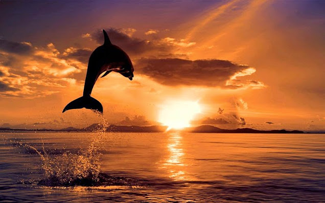 Καλοκαιρινές φωτογραφίες με τοπία, πολλές φωτογραφίες με Καλοκαιρινά θέματα, ΚΑΛΟΚΑΙΡΙ, Όμορφα Καλοκαιρινά τοπία, Παραλίες γεμάτο κόσμο, Πάμε θάλασσα,