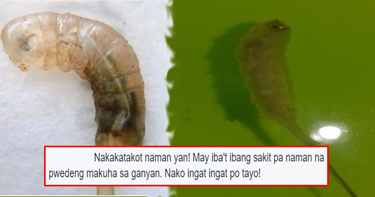 This Video Went Viral Because Of An Alleged Maggot Was Caught From The