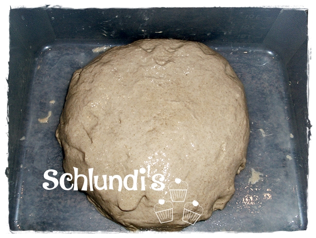 Netzbrot – Eingenetztes – Schlundis