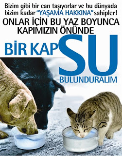 bir-kap-su