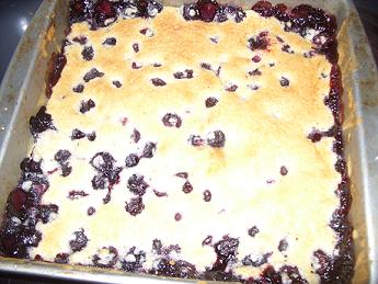 cobbler blueberry baking adventures