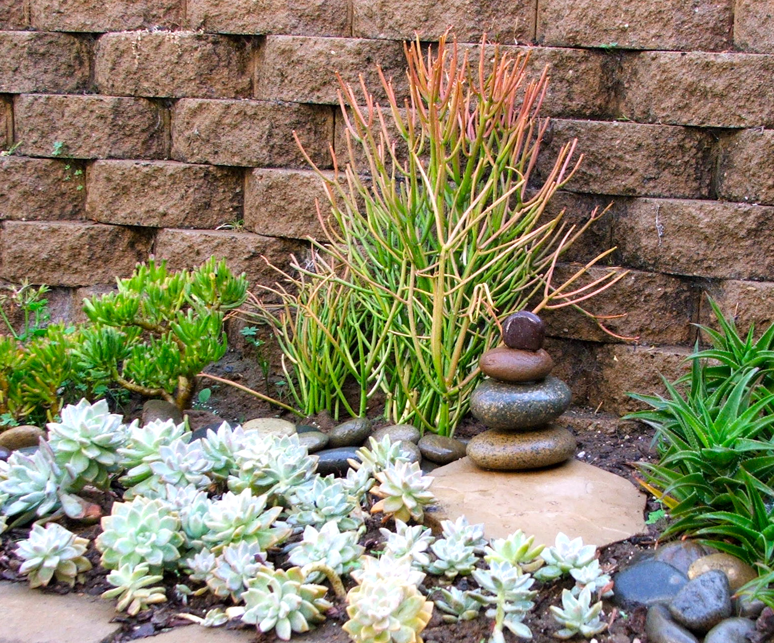 Garden and Bliss: Rock Stacking Garden and Bliss: Rock Stacking on Backyard Rock
id=37057