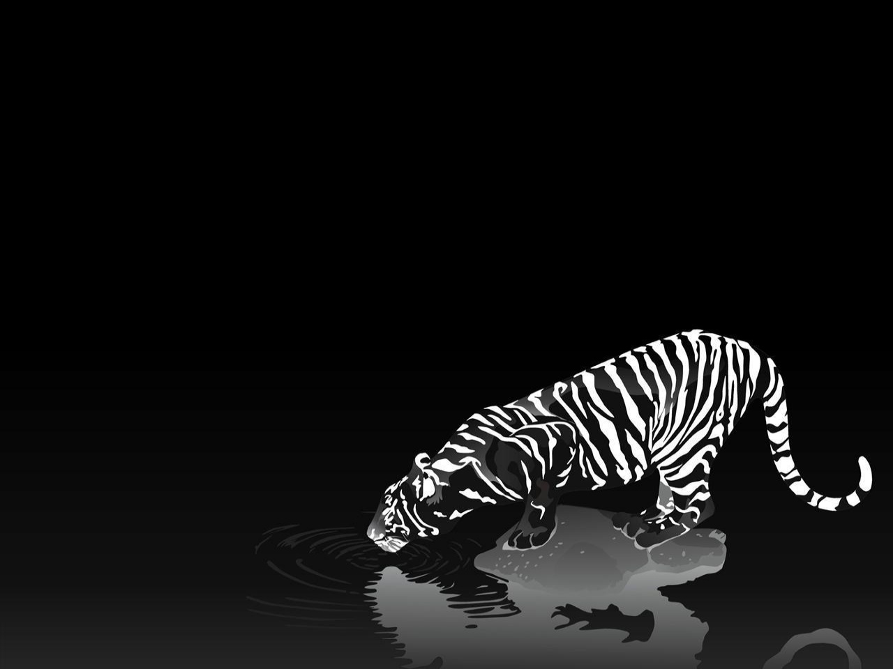 http://2.bp.blogspot.com/-Hoo11FkQ-lM/UF9ce_s2iVI/AAAAAAAAAQw/vsuTPc9hoZ8/s1600/tiger-3d-black-and-white-hd-wallpaper.jpg