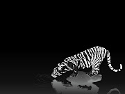 Black White Tiger Wallpaper (tiger black and white hd wallpaper)