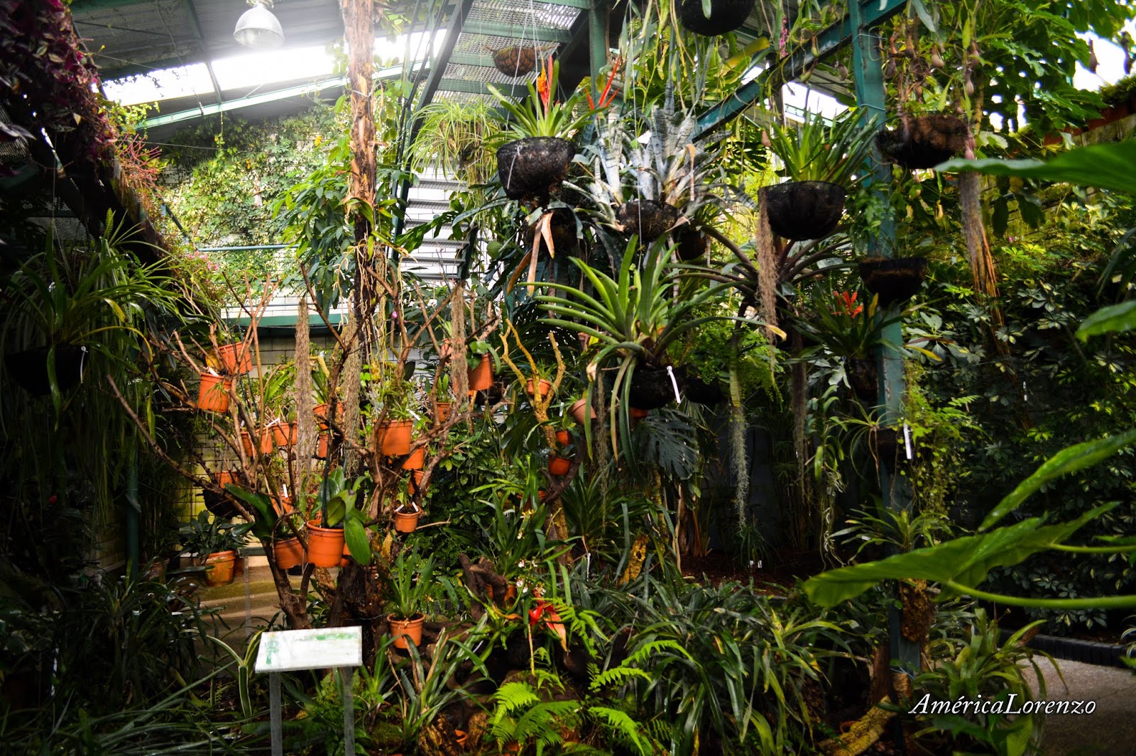 Invernadero de Cáceres, Parque del Príncipe. Extremadura