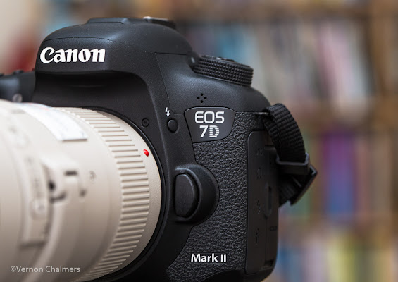 Canon EOS 7D Mark II AF System Application For Birds in Flight Photography