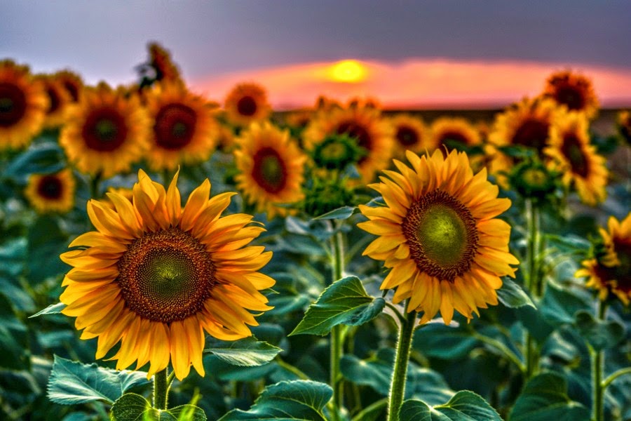 Hermosas imagenes. - Las Mejores Fotografías del Mundo