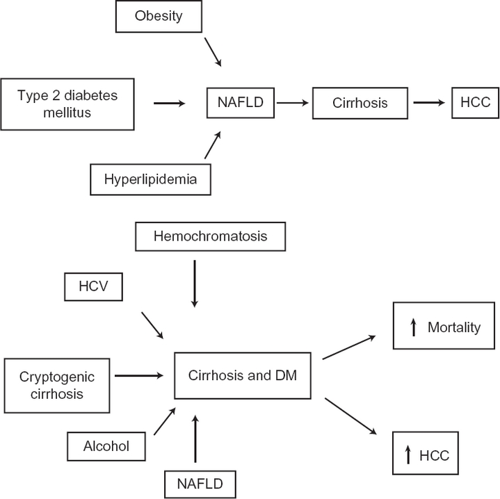 Managing Diabetes in Patients with Chronic Liver Disease