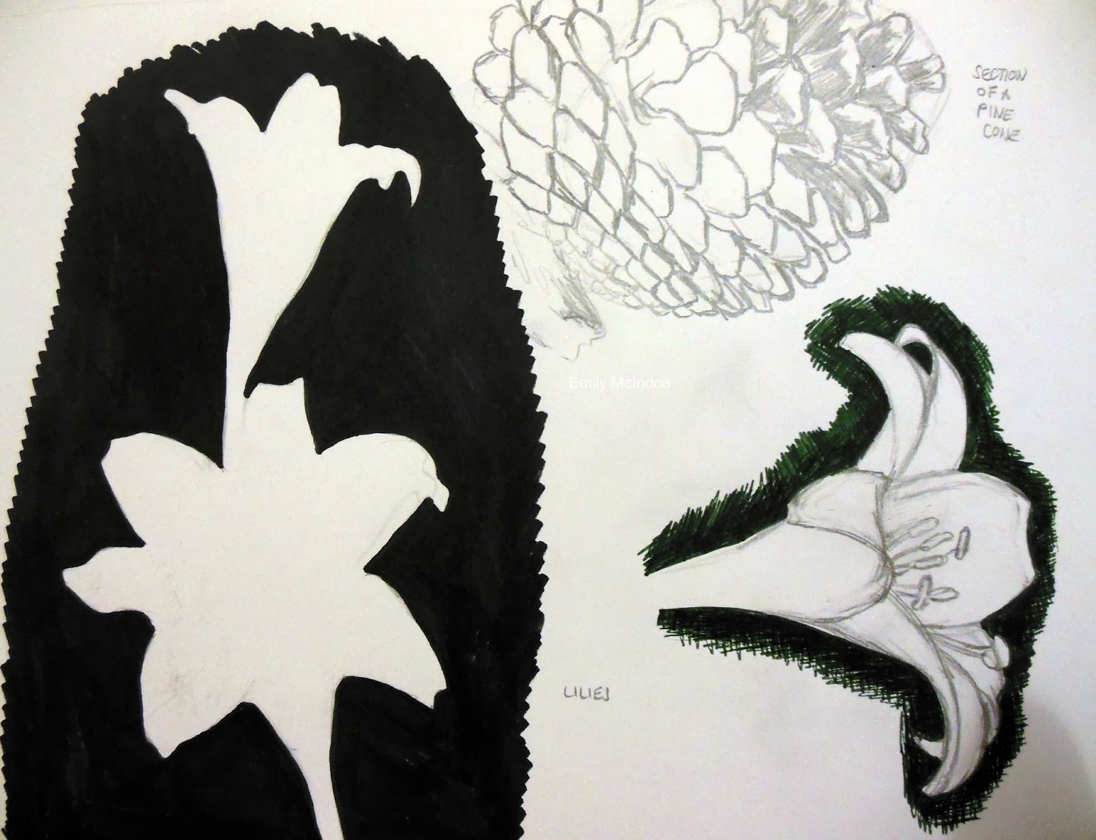 Flower Sketchbook Studies (2012)