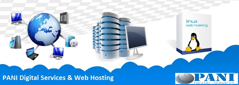 Web Hosting Plans & Packages | Free Domain Name - PANI Digital