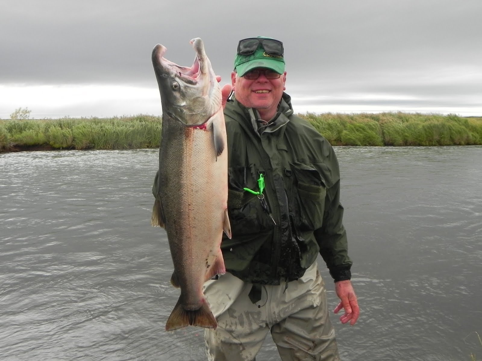 THE FISHING NEWS MONSTER SILVER SALMON ON THE ALASKA PENINSULA